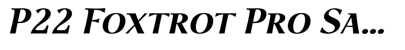 P22 Foxtrot Pro Sans SC Bold Italic
